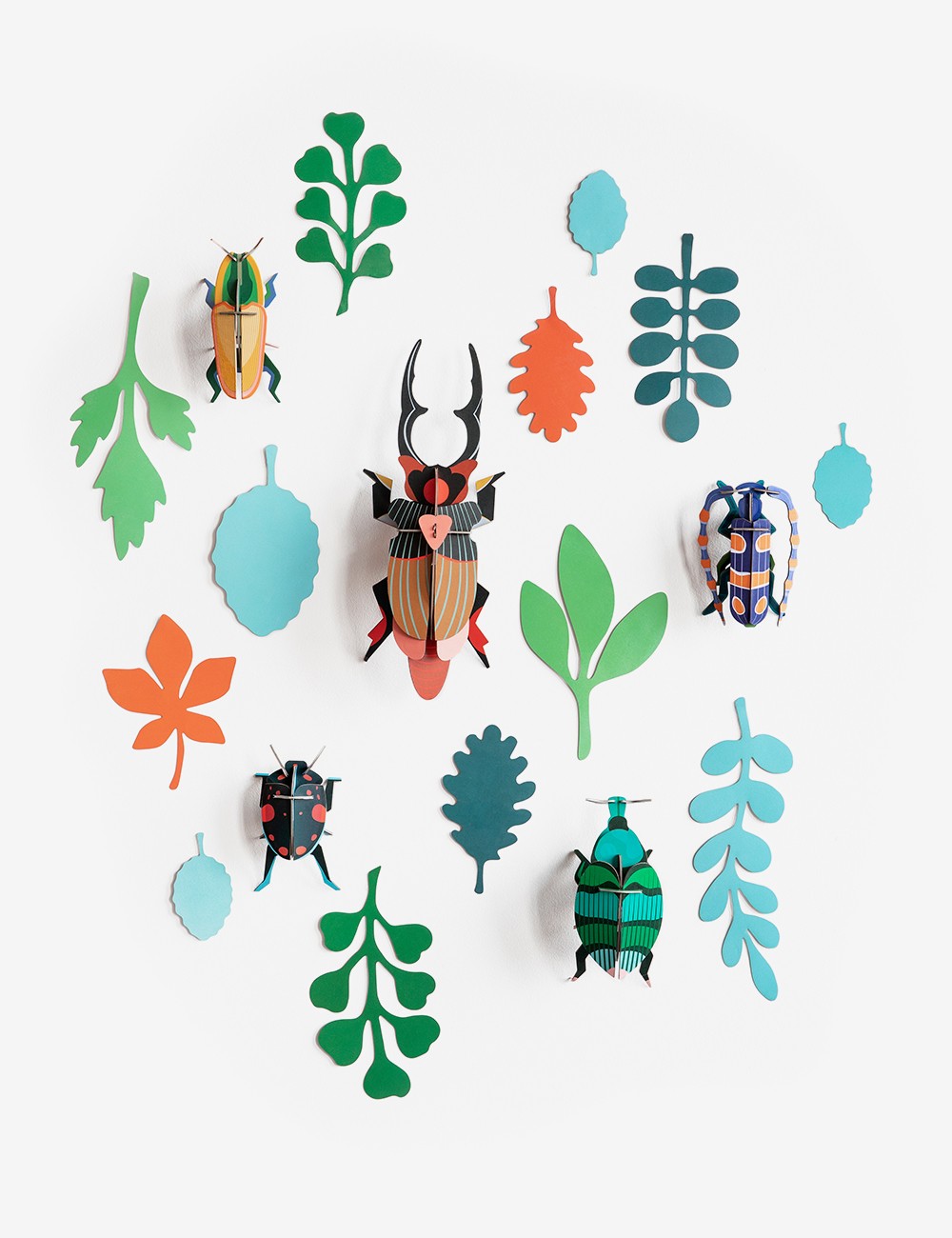 BEETLE ANTIQUARY