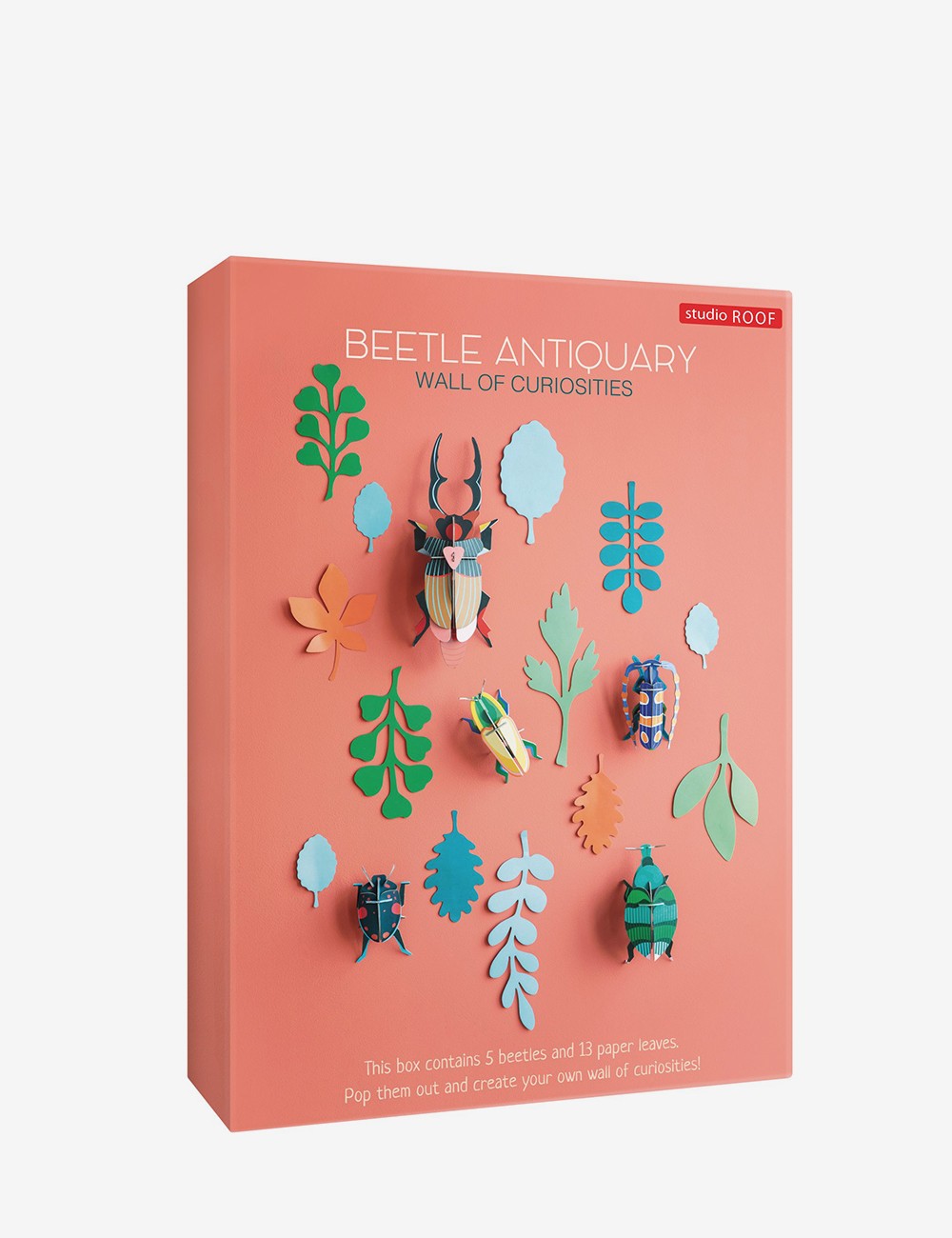 BEETLE ANTIQUARY