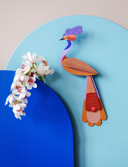PARADISE BIRD SAVU