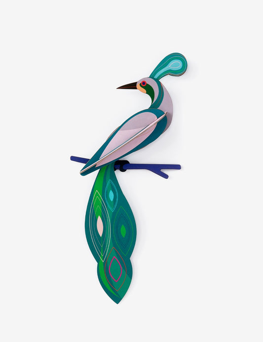 PARADISE BIRD FIJI