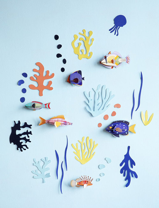 fish hobbyist
