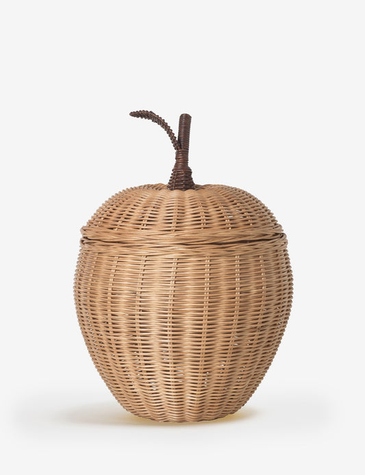 APPLE BRAIDED STORAGE