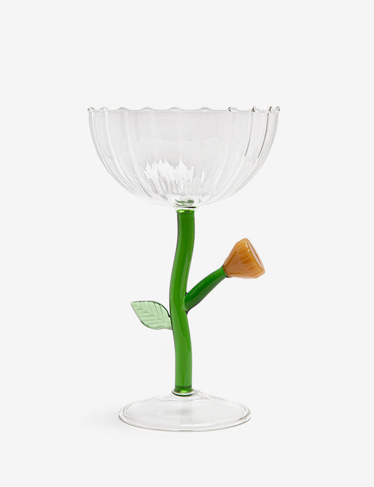Optical champagne bowl Botanica