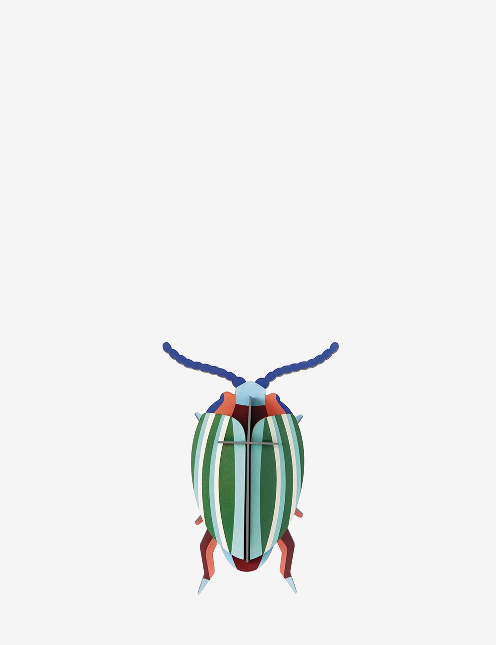 RAINBOW LEAF BEETLE