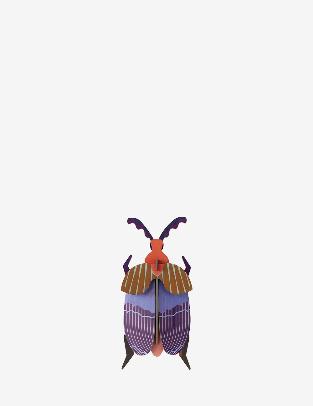 QUEEN BEETLE