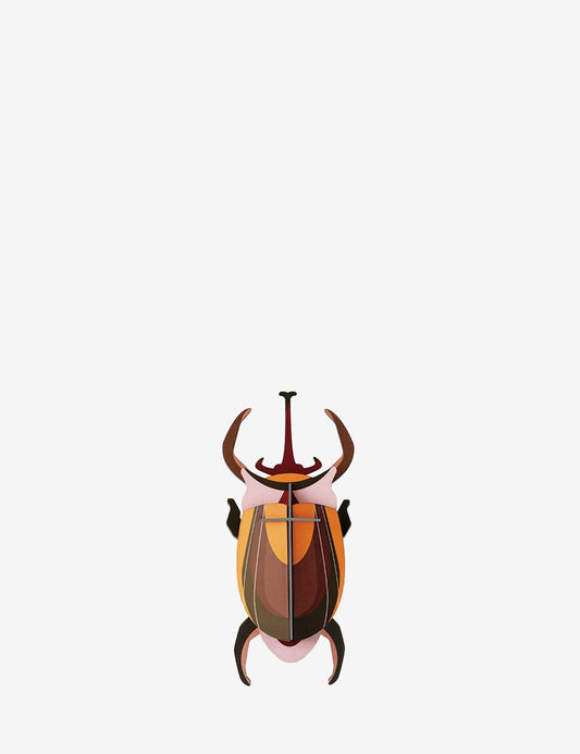elephant beetle