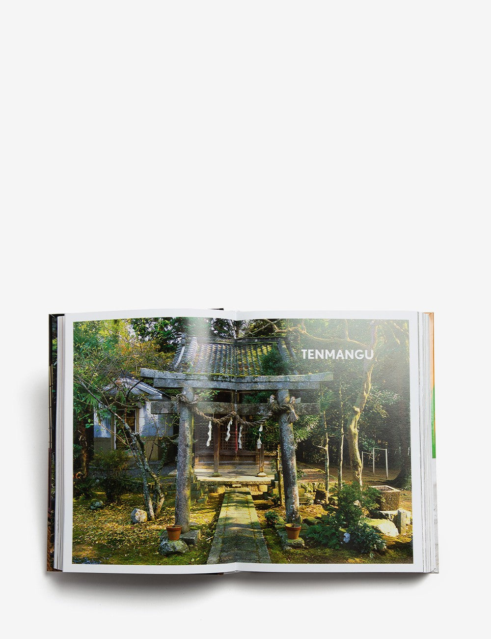 LIVING IN JAPAN 40th ANNIVERSARY