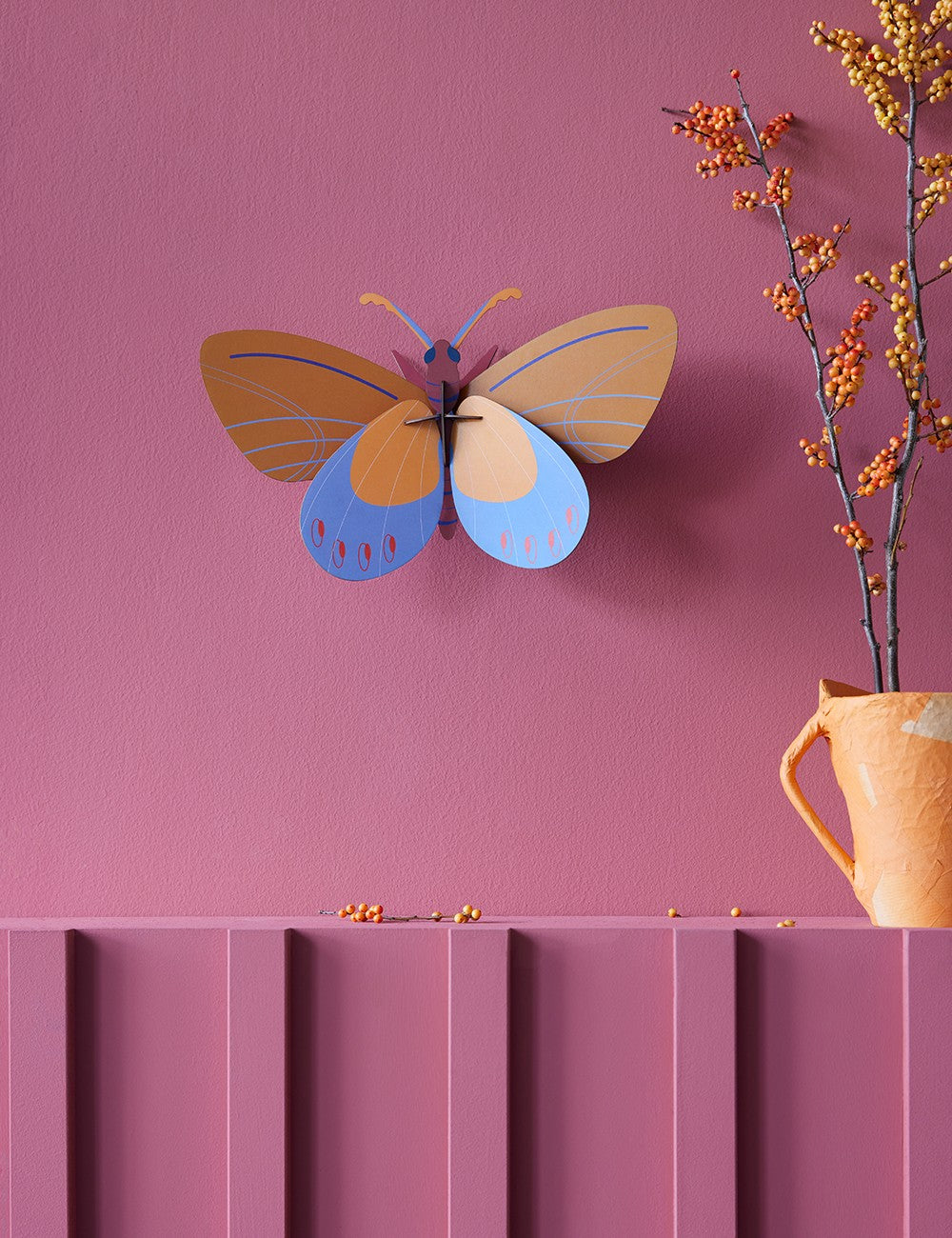 ochre costa butterfly