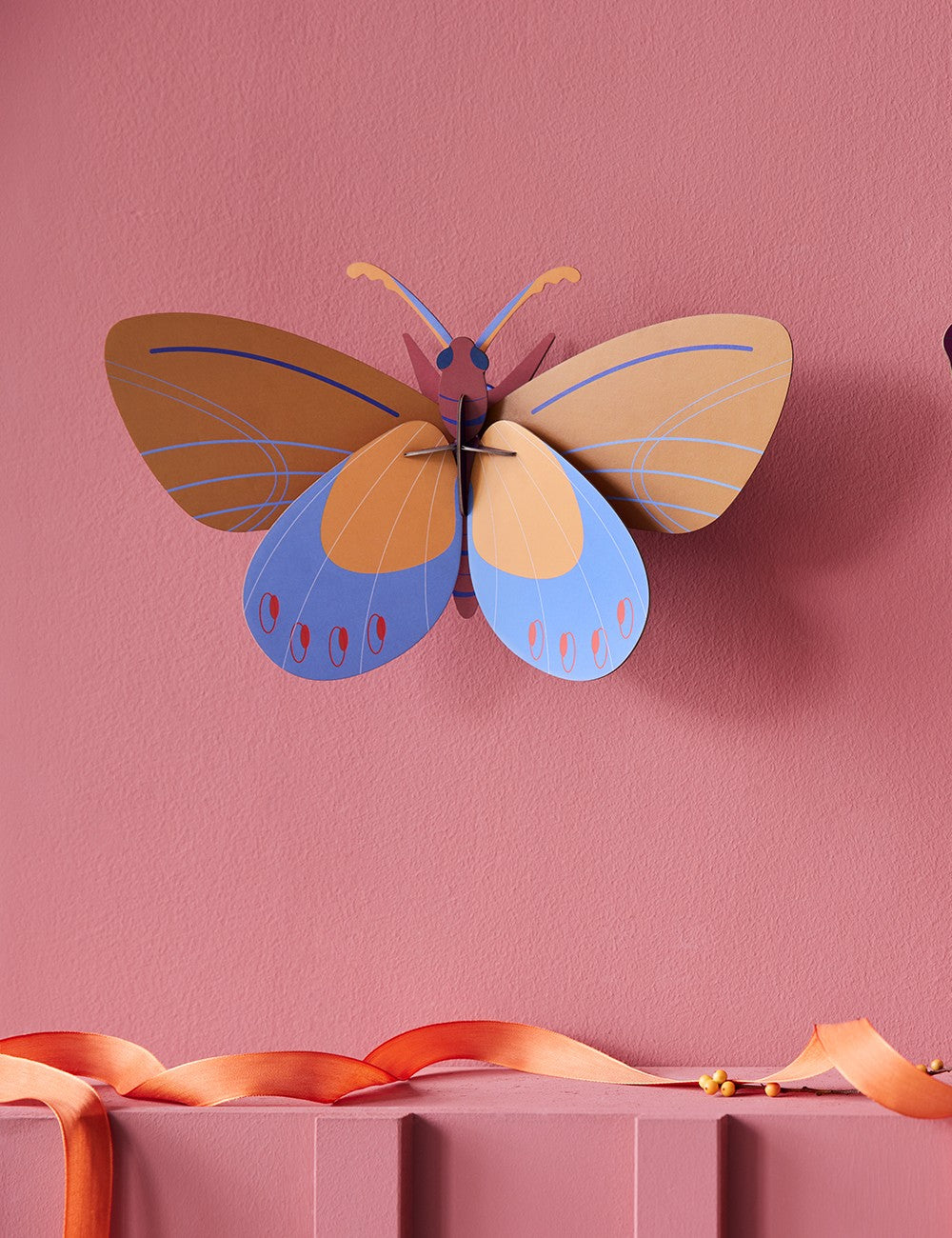 ochre costa butterfly