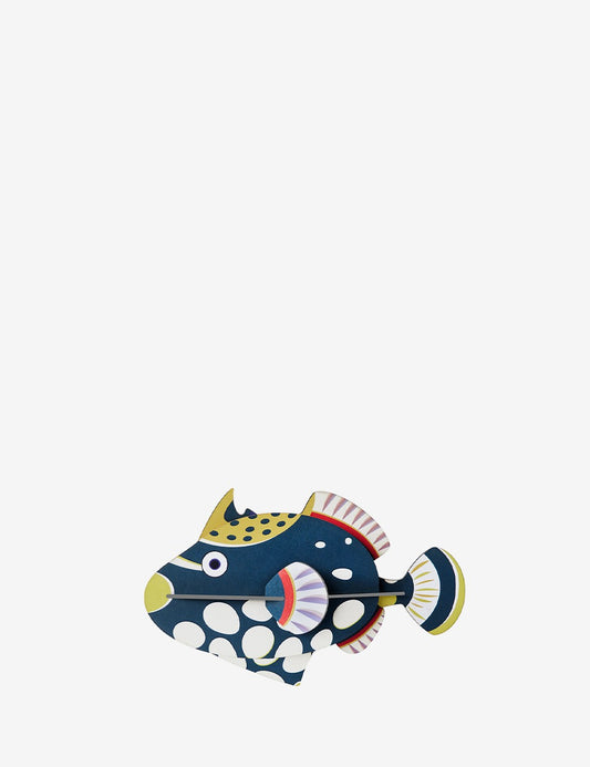 clown triggerfish