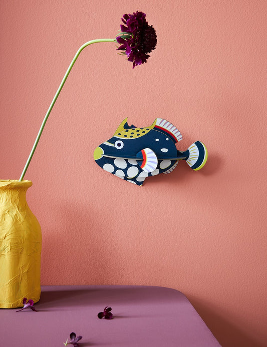 clown triggerfish