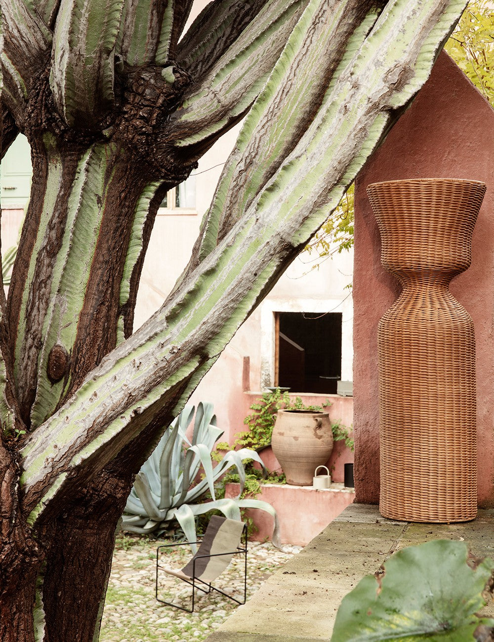 agnes plant stand tall