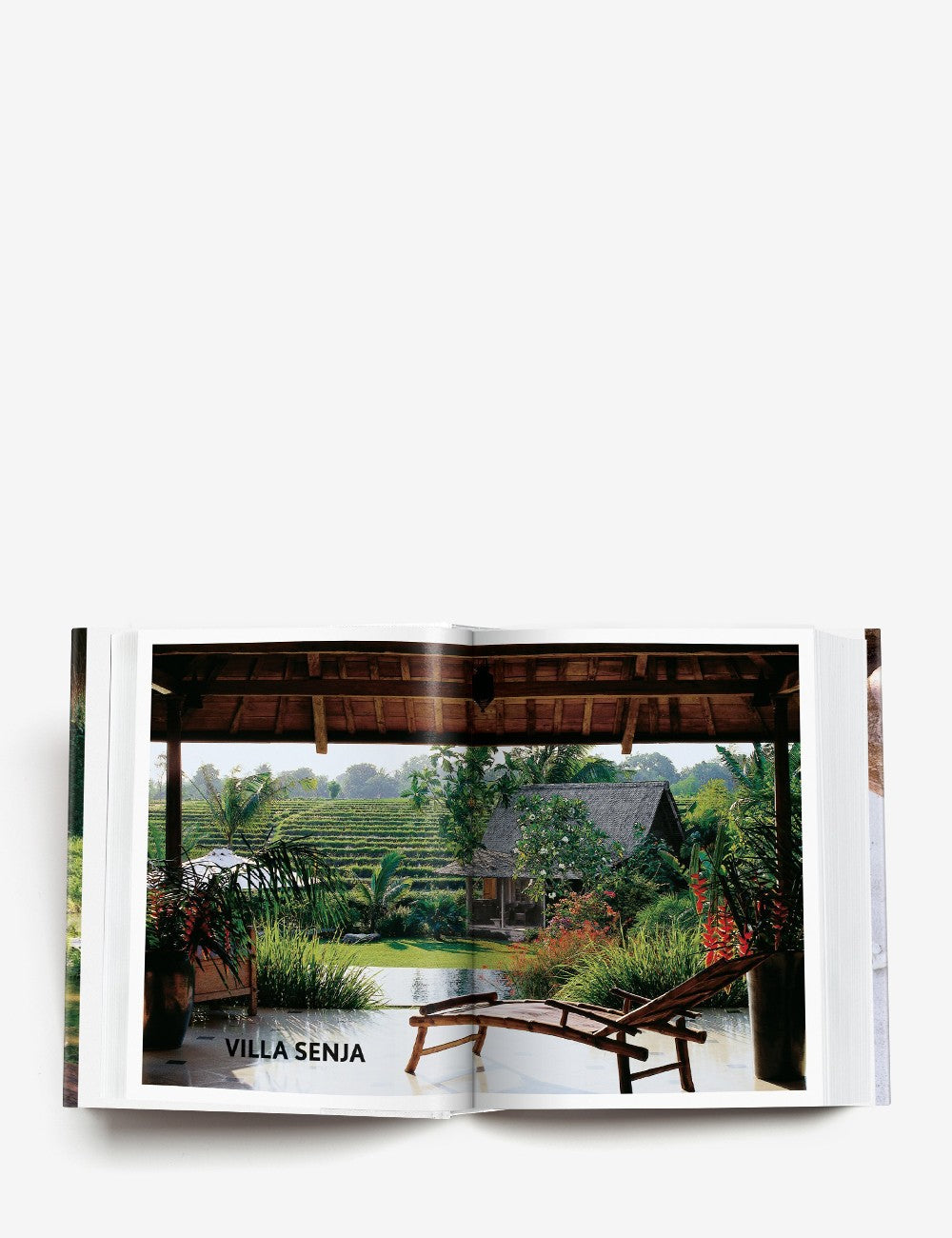 LIVING IN BALI 40th ANNIVERSARY