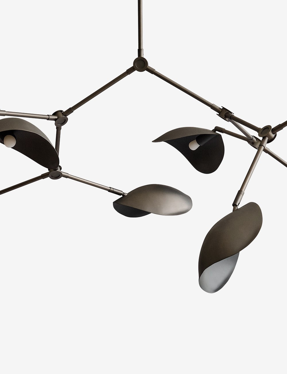 stingrey chandelier bronze