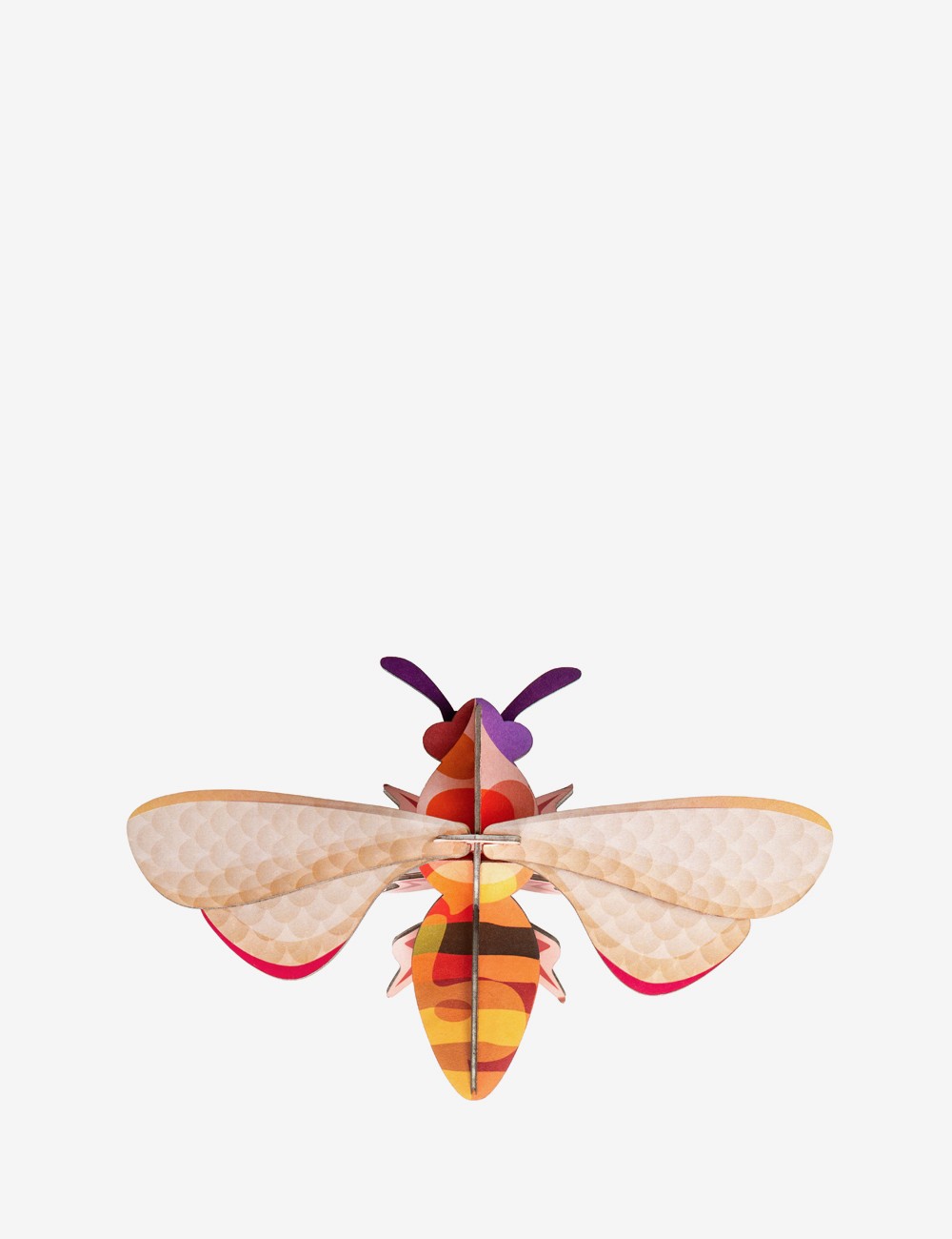 honey bee