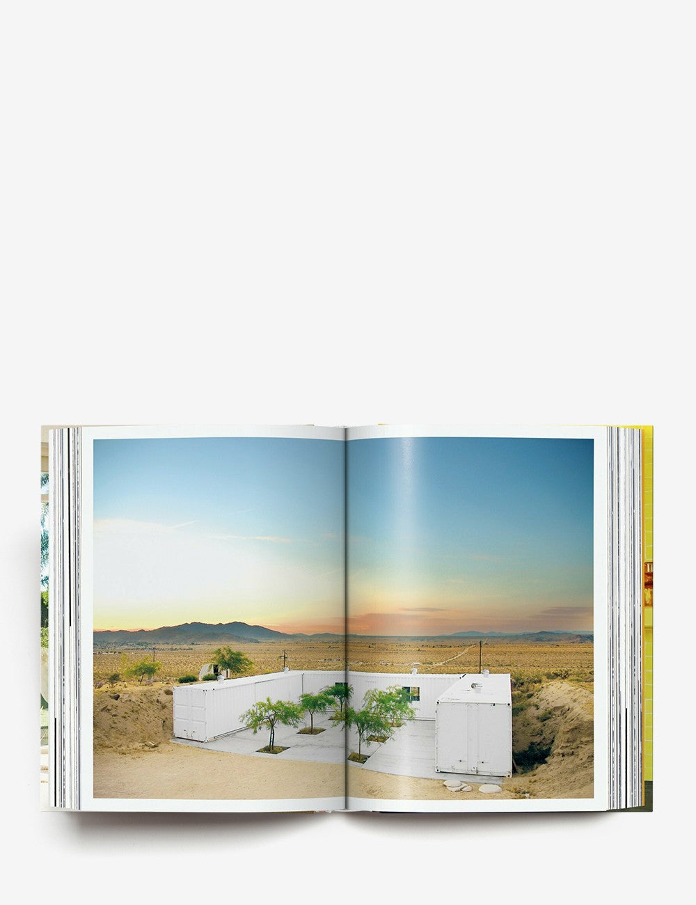 Interiors Now! 45th Ed.
