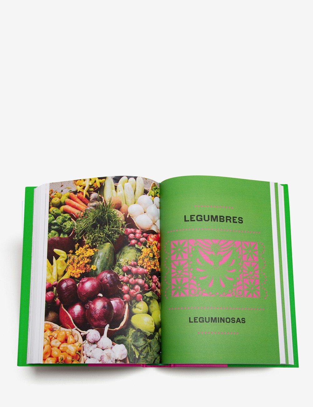 MÉXICO GASTRONOMÍA VEGETARIANA