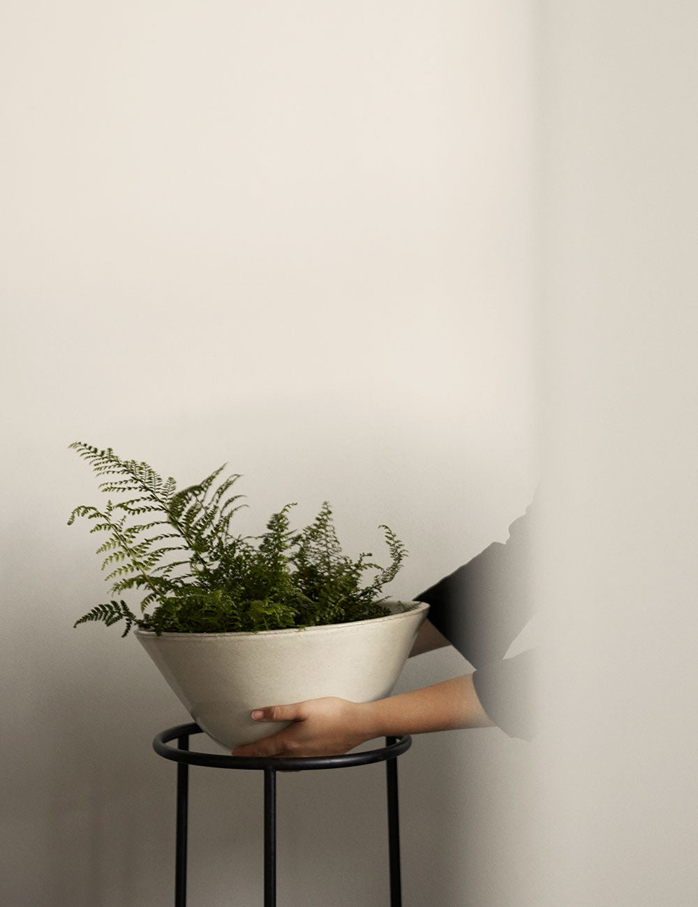 Daiza Plant Pot ø48