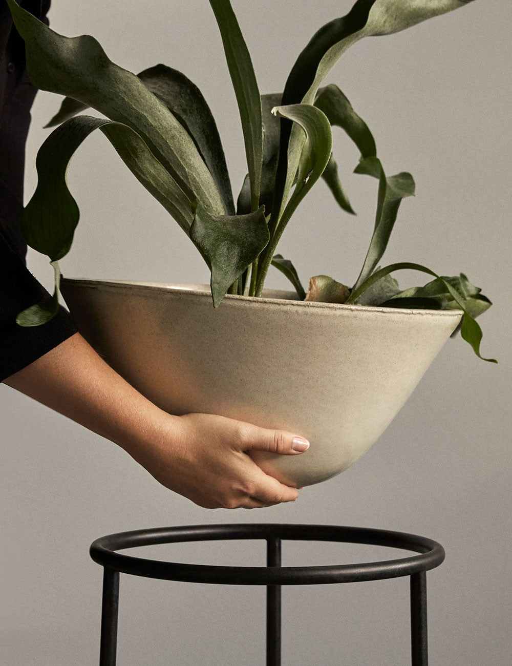 Daiza Plant Pot ø48