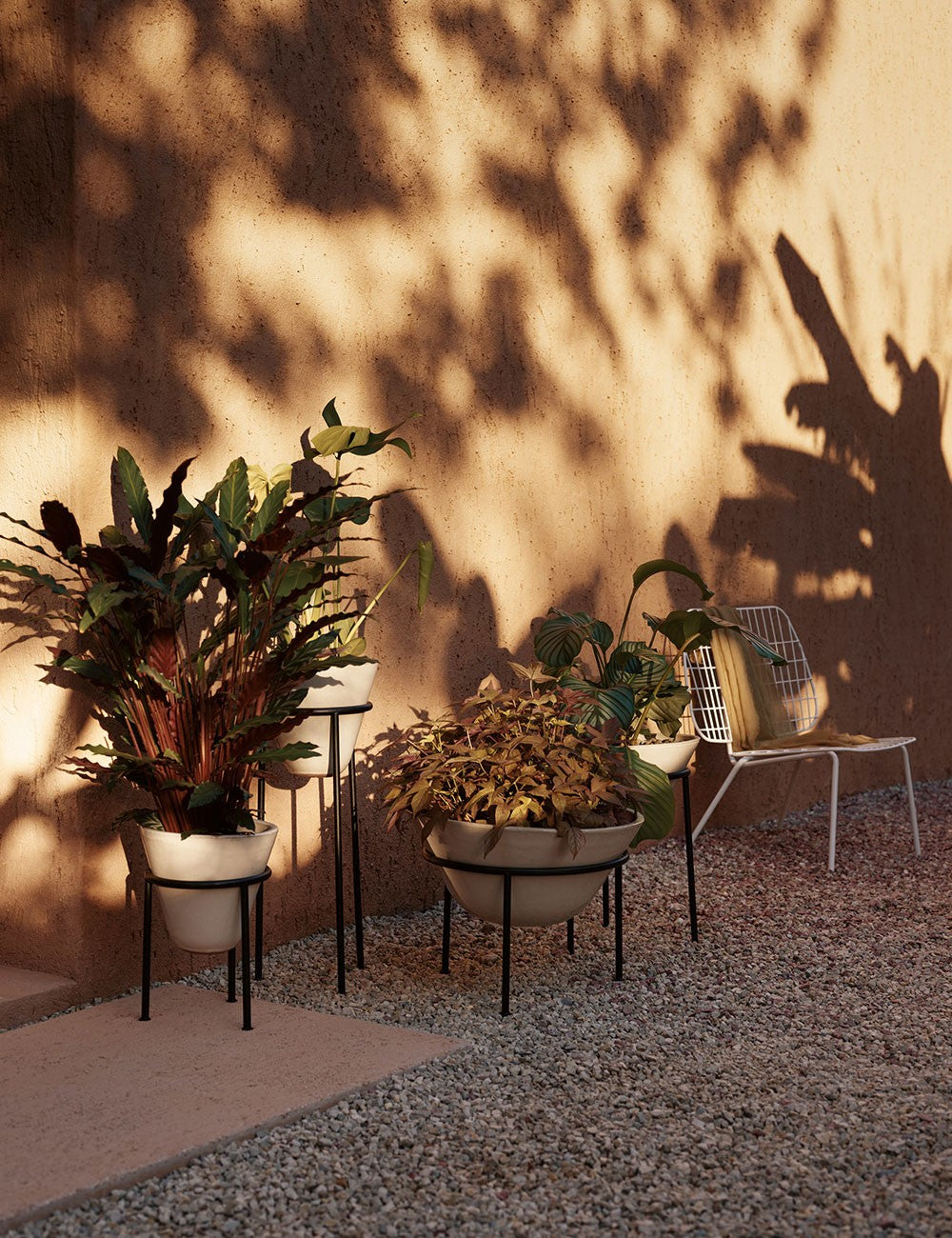 Daiza Plant Pot ø25