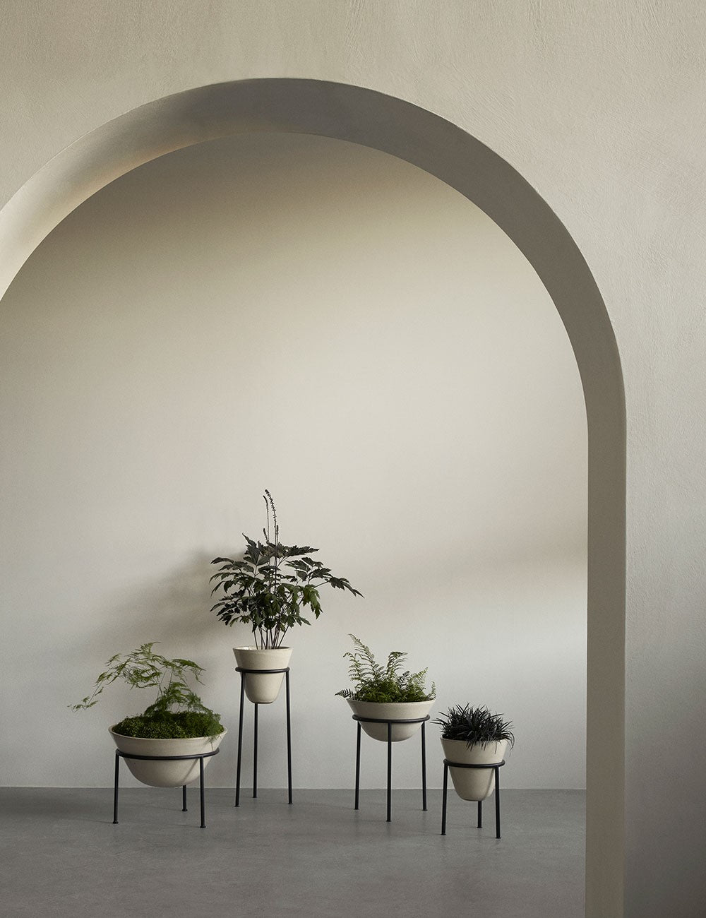 Daiza Plant Pot ø25