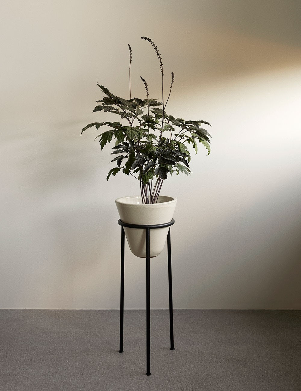 Vaso Daiza ø25