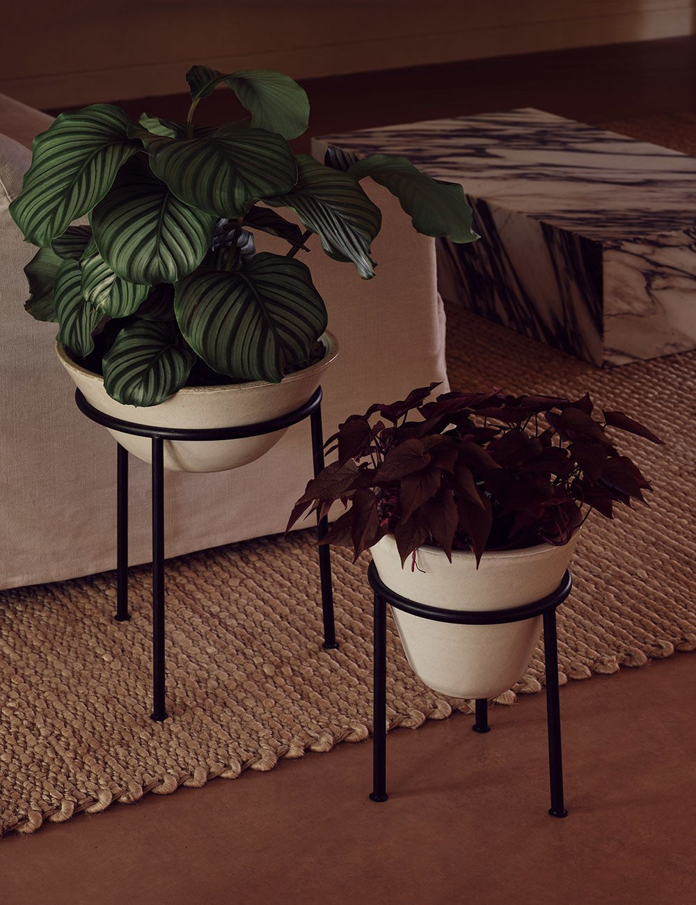 VASO DAIZA S