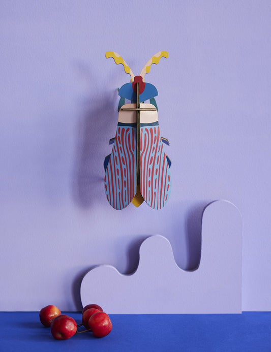 STRIPED WING BEETLE