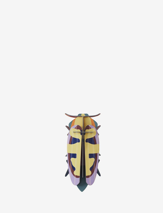 MANGO FLOWER BEETLE