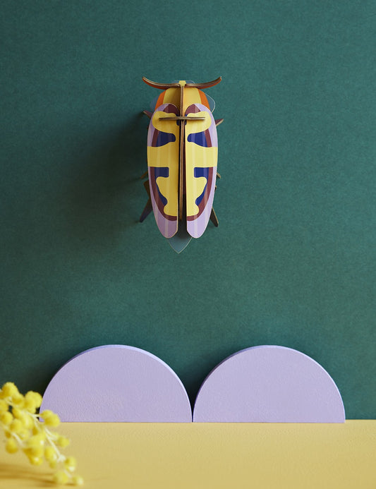 MANGO FLOWER BEETLE