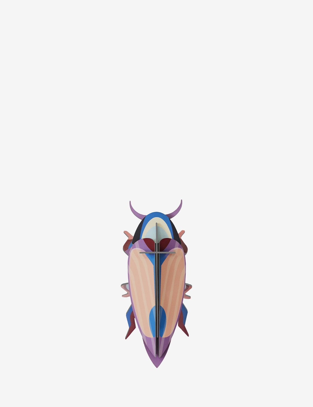 violet click beetle