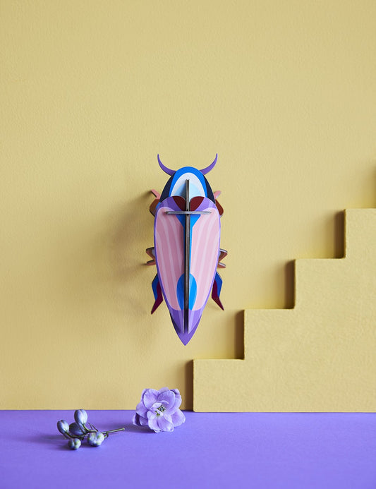 VIOLET CLICK BEETLE