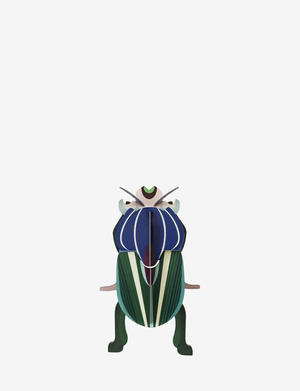 mimela scarab beetle