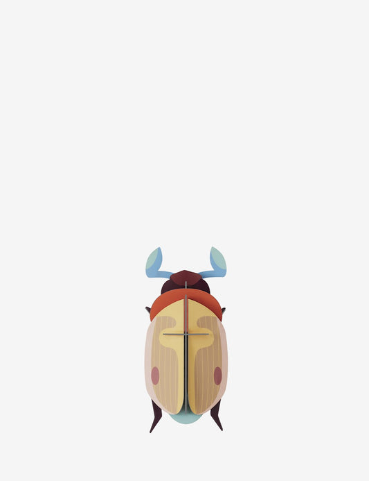 LEMON FRUIT BEETLE