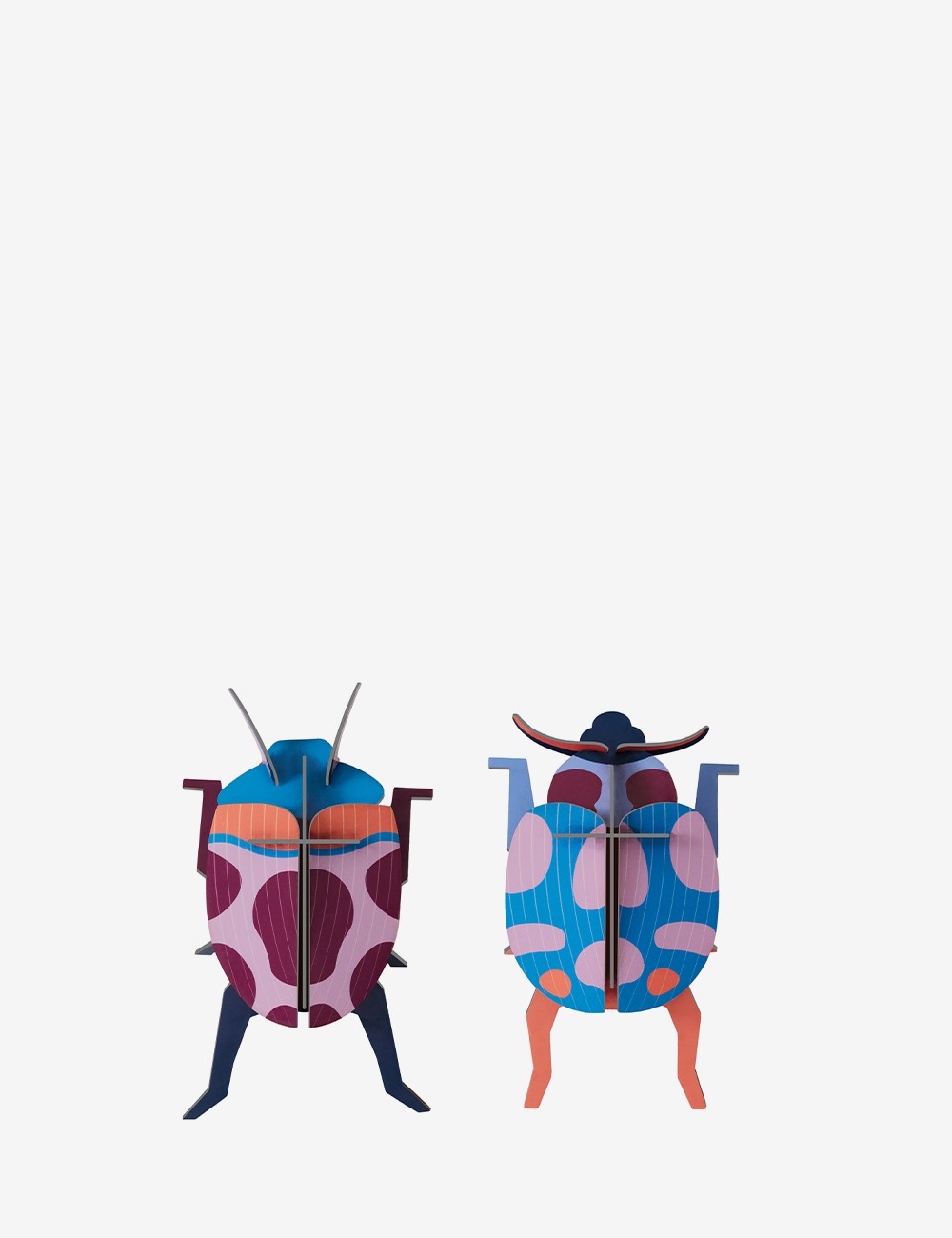coppia coccinelle