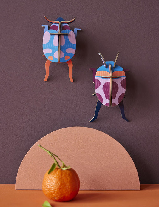coccinelle couple