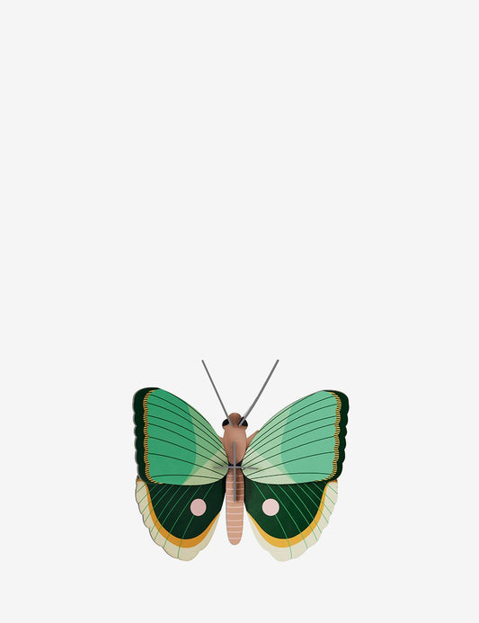 fern striped butterfly