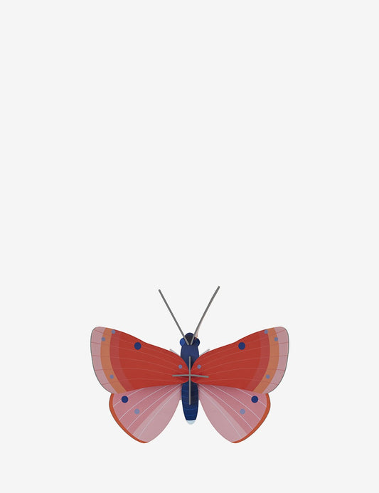 SPECKLED COPPER BUTTERFLY