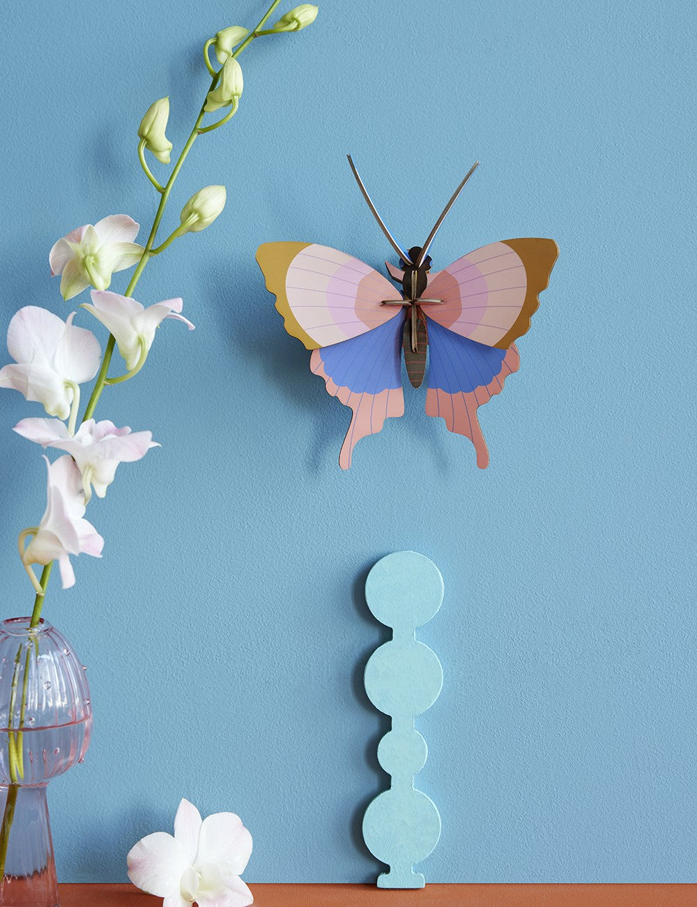 GOLD RIM BUTTERFLY