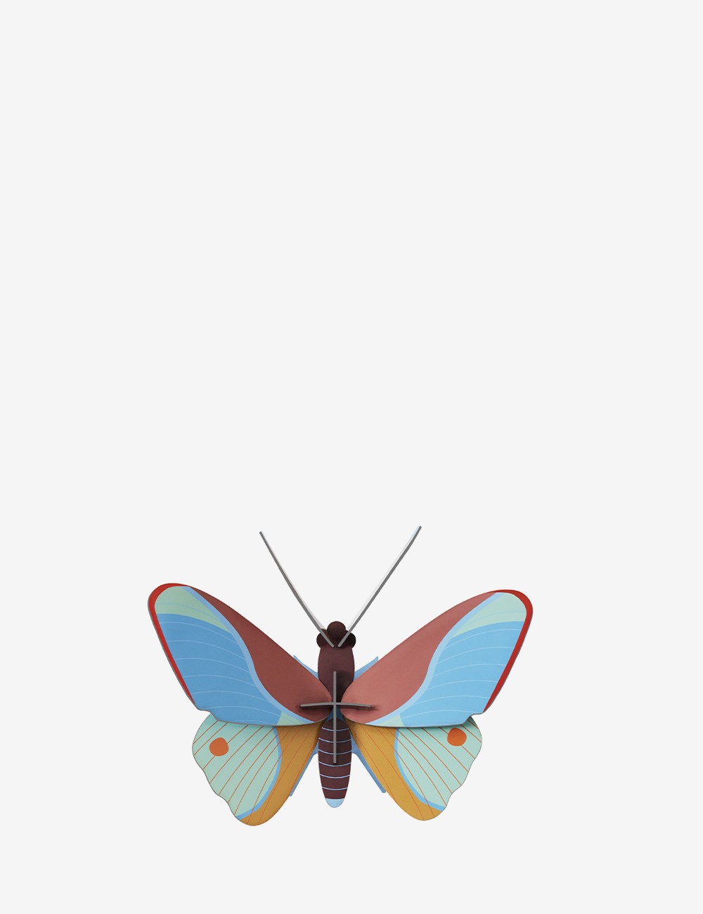 claudina butterfly
