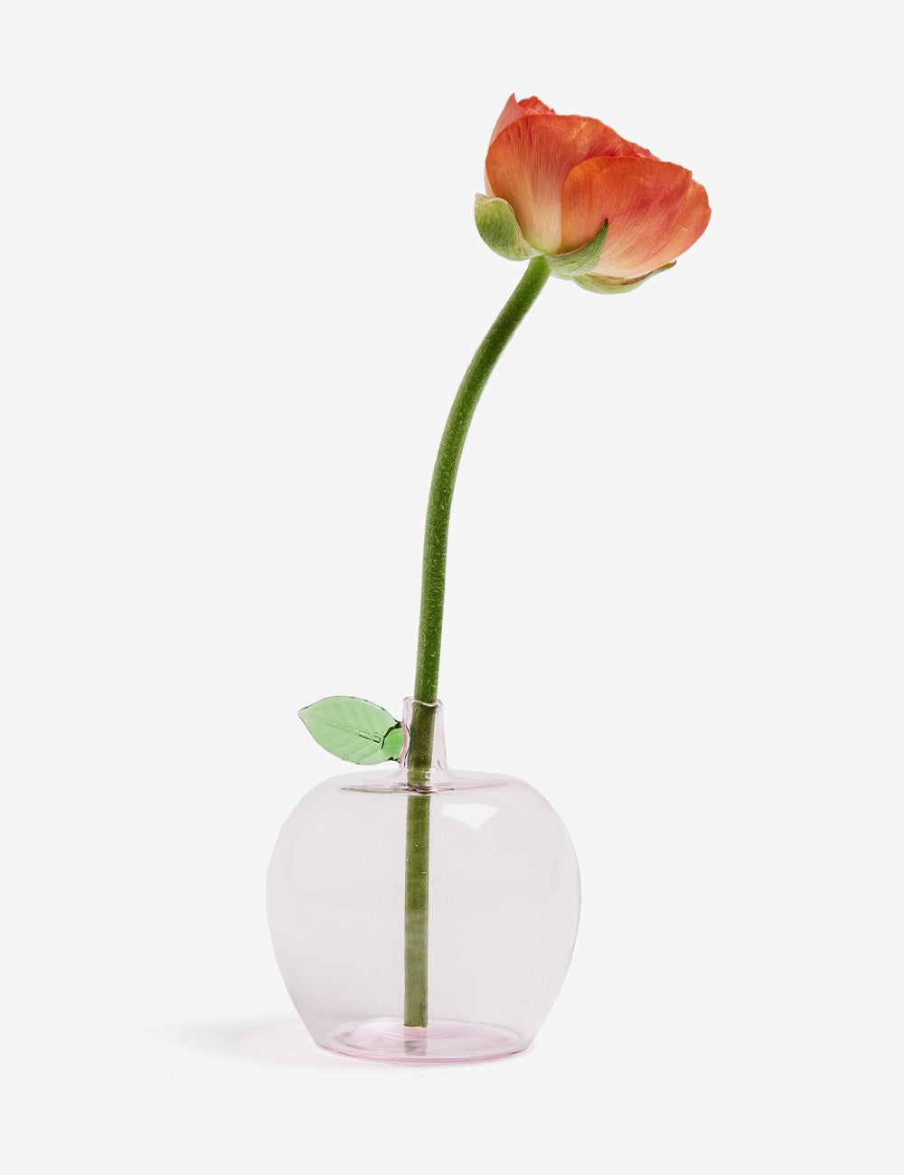 Mini vase pomme Fruits & Flowers