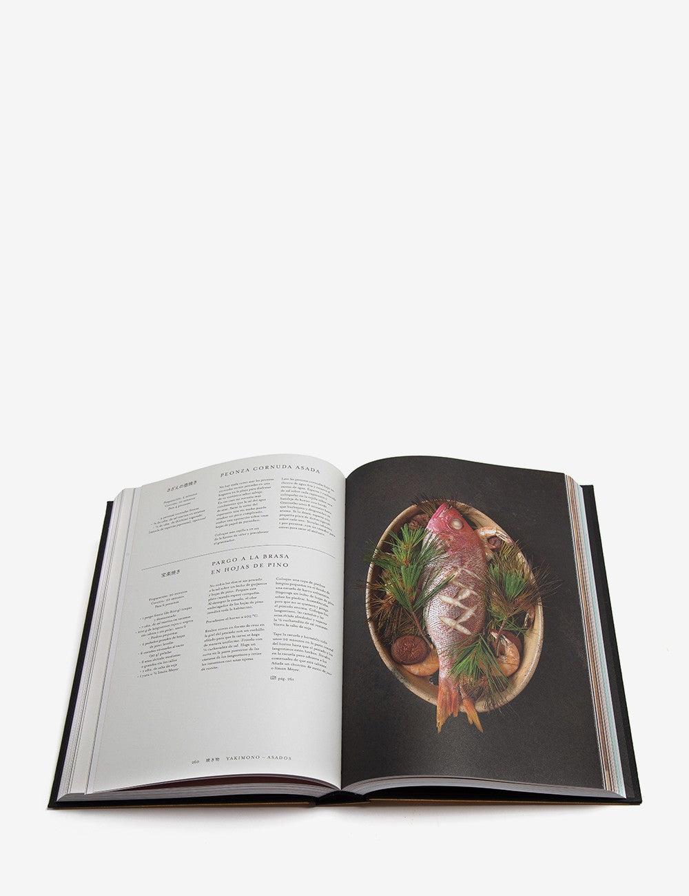 japón gastronomía