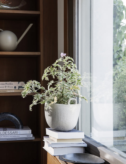 SPECKLE POT