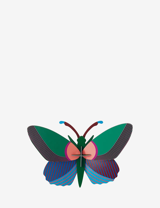 ACACIA BUTTERFLY