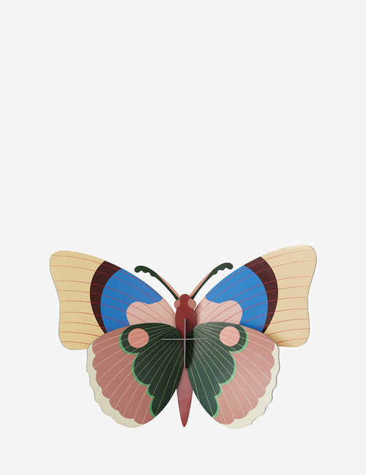 CEPORA BUTTERFLY