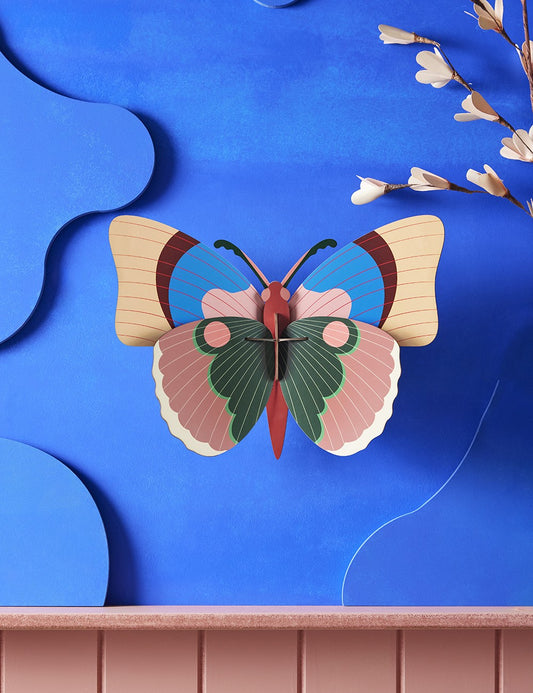 CEPORA BUTTERFLY