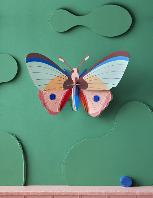 SYCAMORE BUTTERFLY