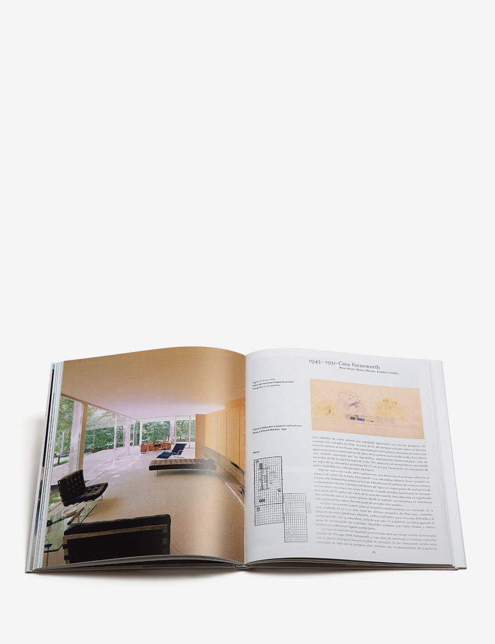 MIES VAN DER ROHE