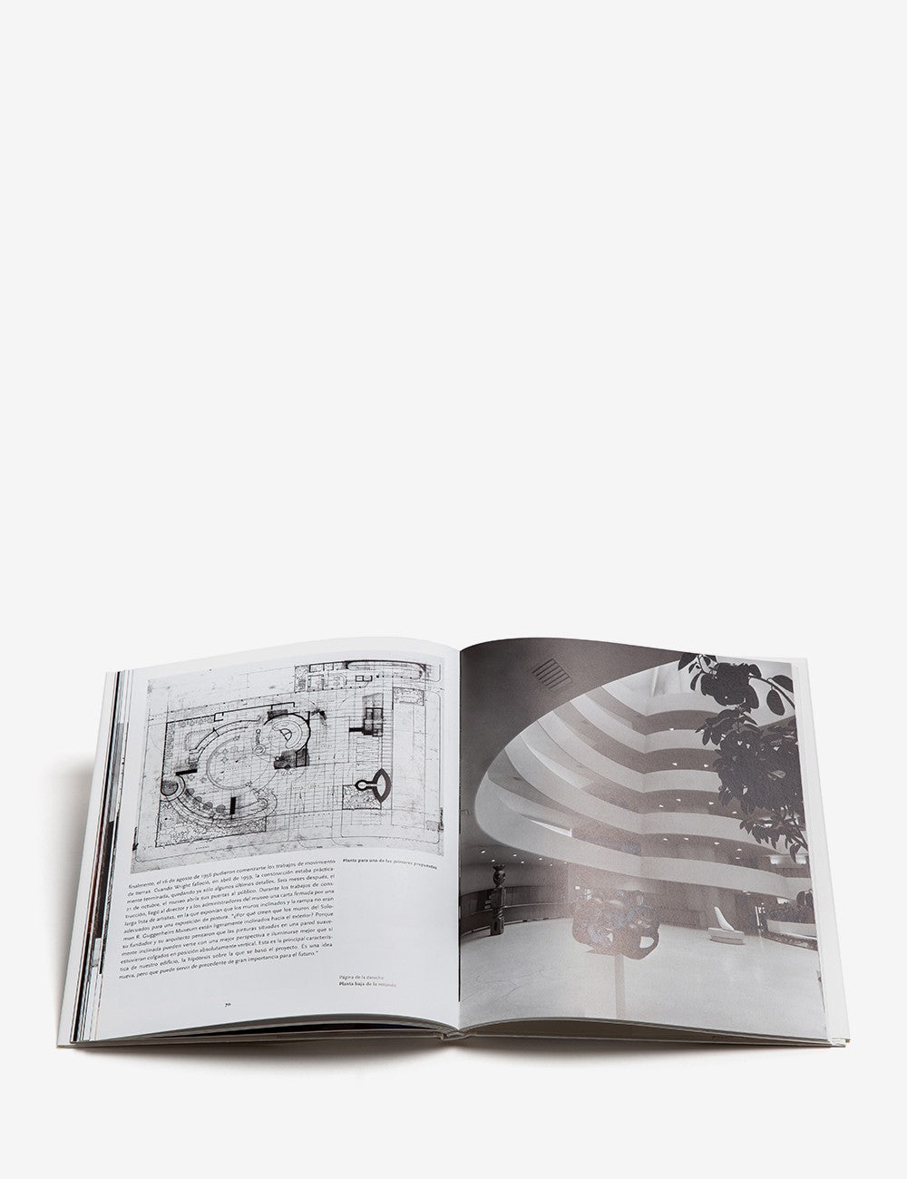 F.L. Wright