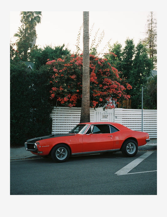 DRIVE